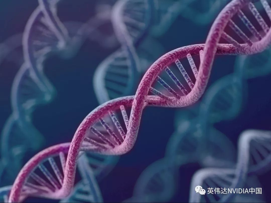 探索基因的秘密：初创公司借助GPU加快DNA分析速度