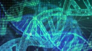 5小时！斯坦福大学研究人员创造DNA测序技术吉尼斯世界纪录